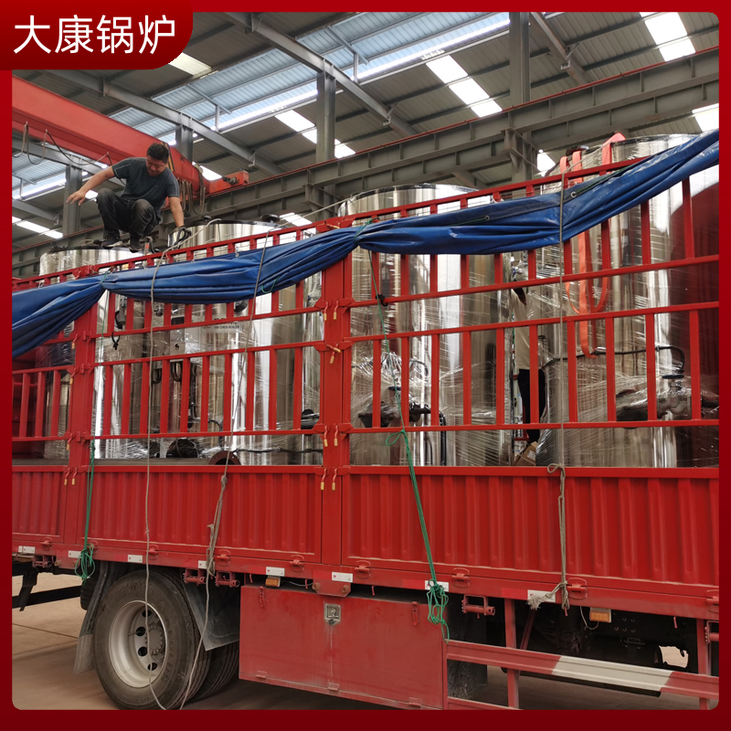 二十吨生物质蒸汽锅炉