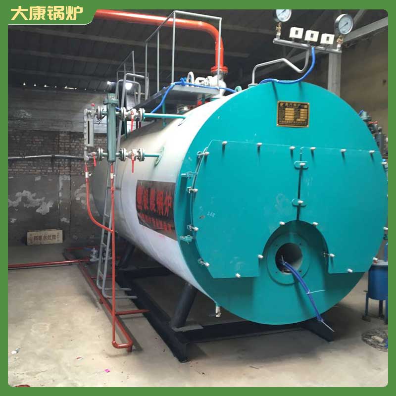 一t燃生物质锅炉